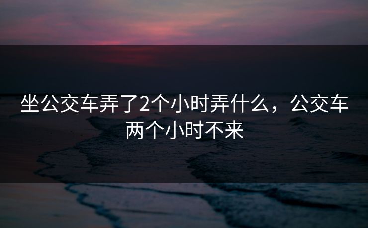 坐公交车弄了2个小时弄什么，公交车两个小时不来