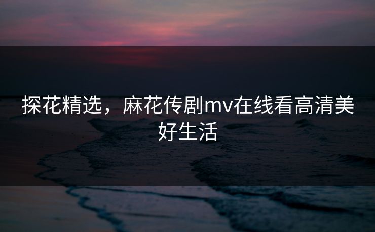 探花精选，麻花传剧mv在线看高清美好生活
