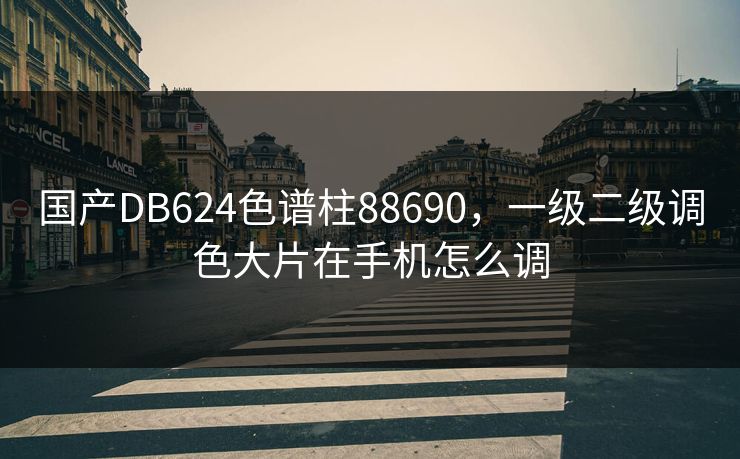 国产DB624色谱柱88690，一级二级调色大片在手机怎么调