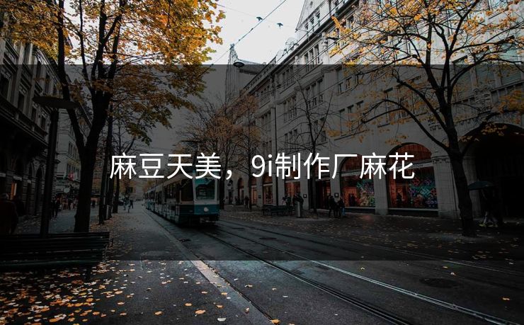 麻豆天美，9i制作厂麻花  第1张